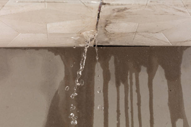 Professional Structural Drying technician working in Wylie, TX